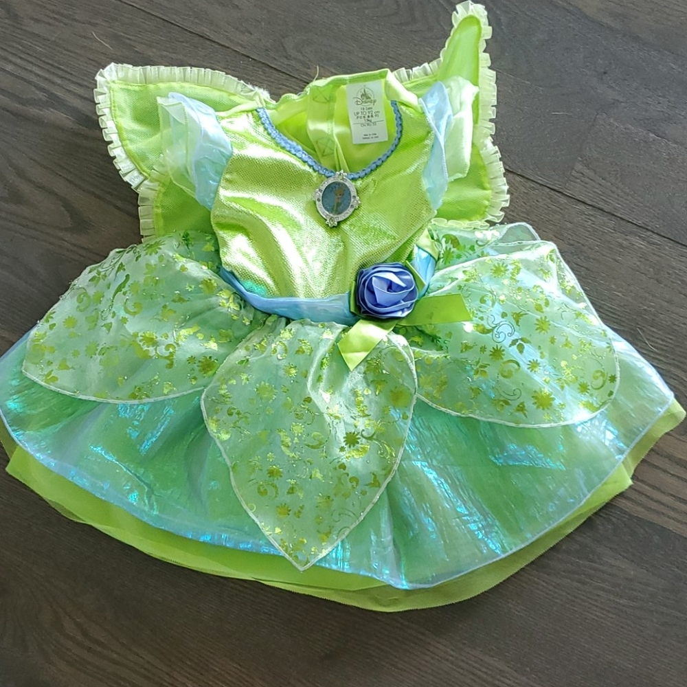 Great used condition size 18/24M Tink costume